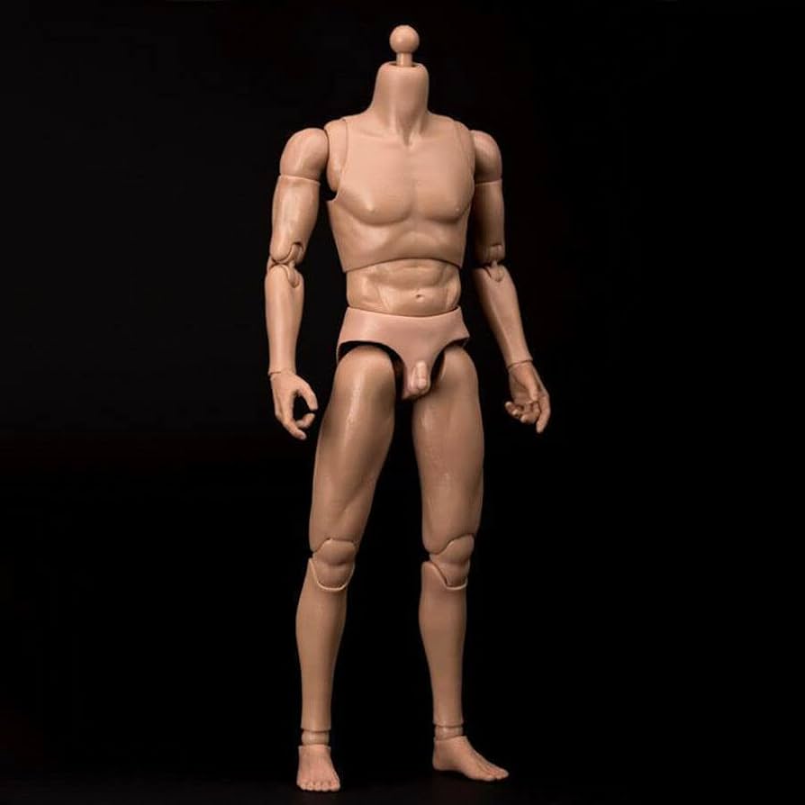 Amazon.co.jp: 12インチアクションフィギュア 男性の体型モデル